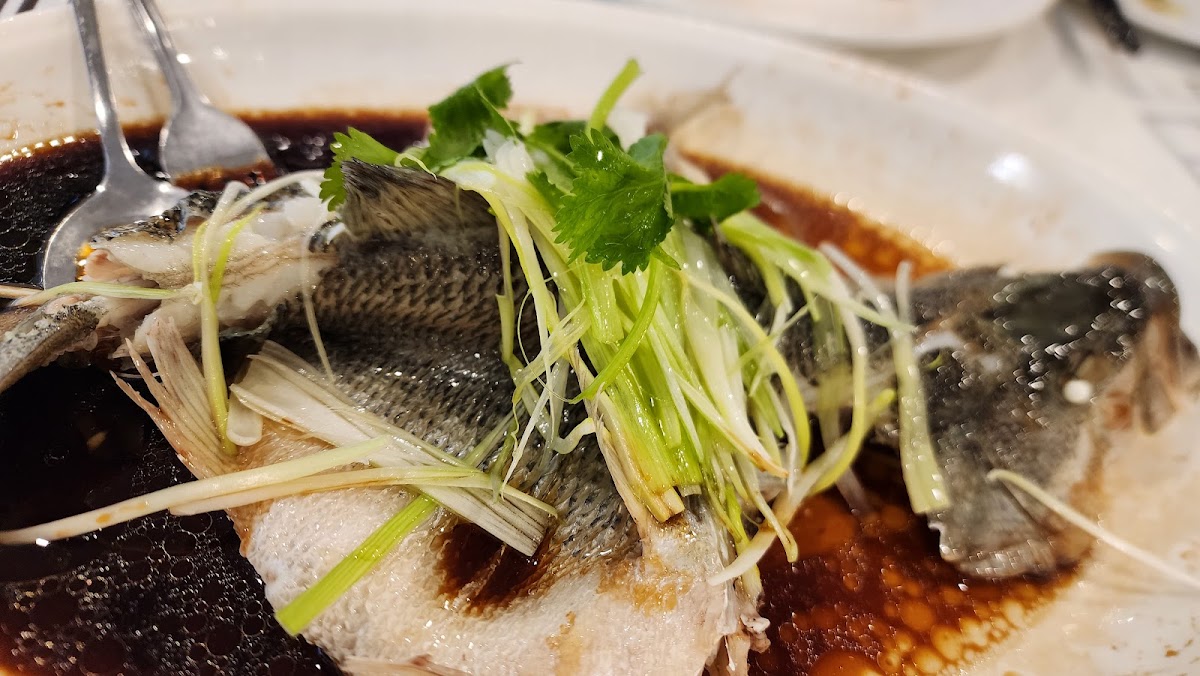 Chicken And Duck 鸡鸭类